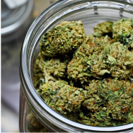 marijuana