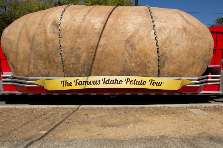 Potato - 6