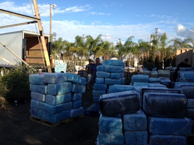 This is some of the 16 tons of pot seized at the Rolling Hills Nursery in Long Beach Thursday, December 13, 2012, in one of the biggest marijuana busts in California history. (Credit: LA County Sheriff's Department)