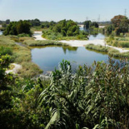 The San Gabriel River
