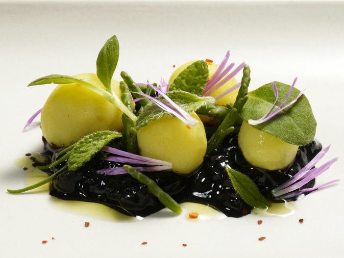 Steamed new harvest potatoes, cucumber, borage, and ice plant flower.