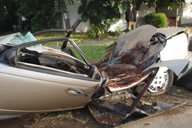 A car in South Pasadena, crushed by a falling tree