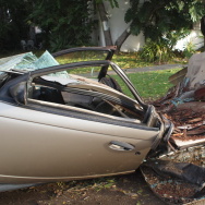 A car in South Pasadena, crushed by a falling tree