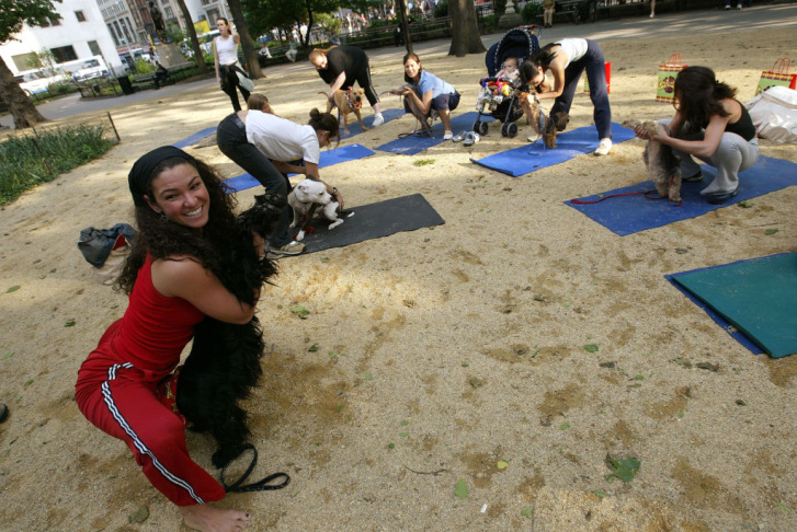 Yoga Goes To The Dogs In New York