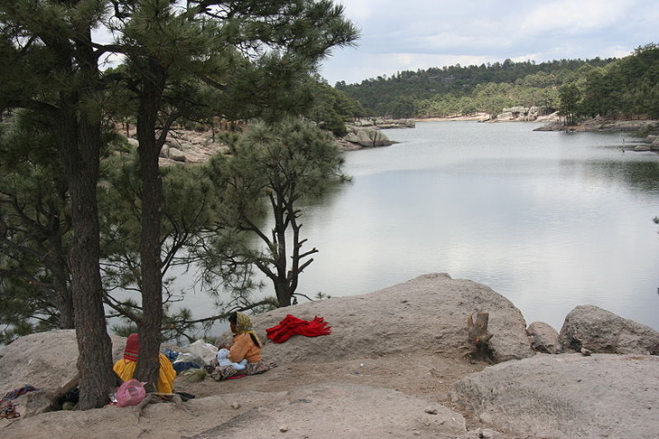 Tarahumara