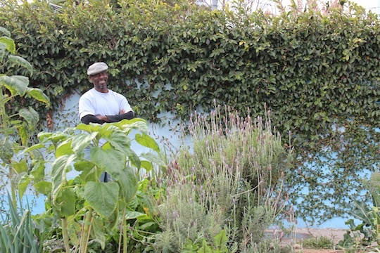 Ron Finley's garden in Crenshaw