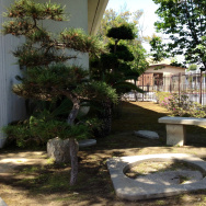 Senshin Buddhist Temple