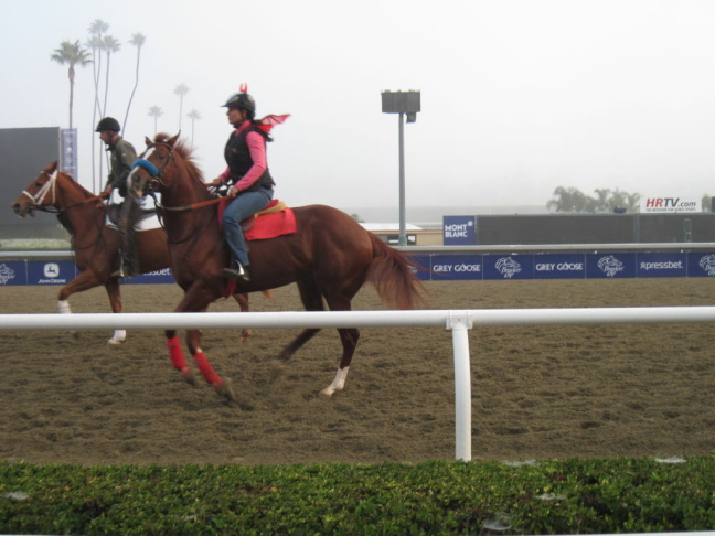 Breeders' Cup