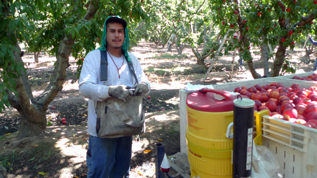 Farm worker heat