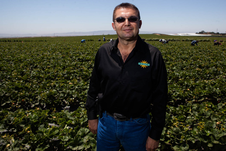 Walmart Strawberry Supply Chain