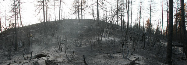 A charred landscape is left in the wake of the 250-square-mile Station Fire as firefighters work to complete the final defensible fireline to contain the massive fire in the San Gabriel Mountains on September 16, 2009 in the Angeles National Forest, northeast of Los Angeles.