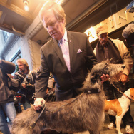 Westminster Kennel Club Previews Some Of The Breeds Competing In Annual Show