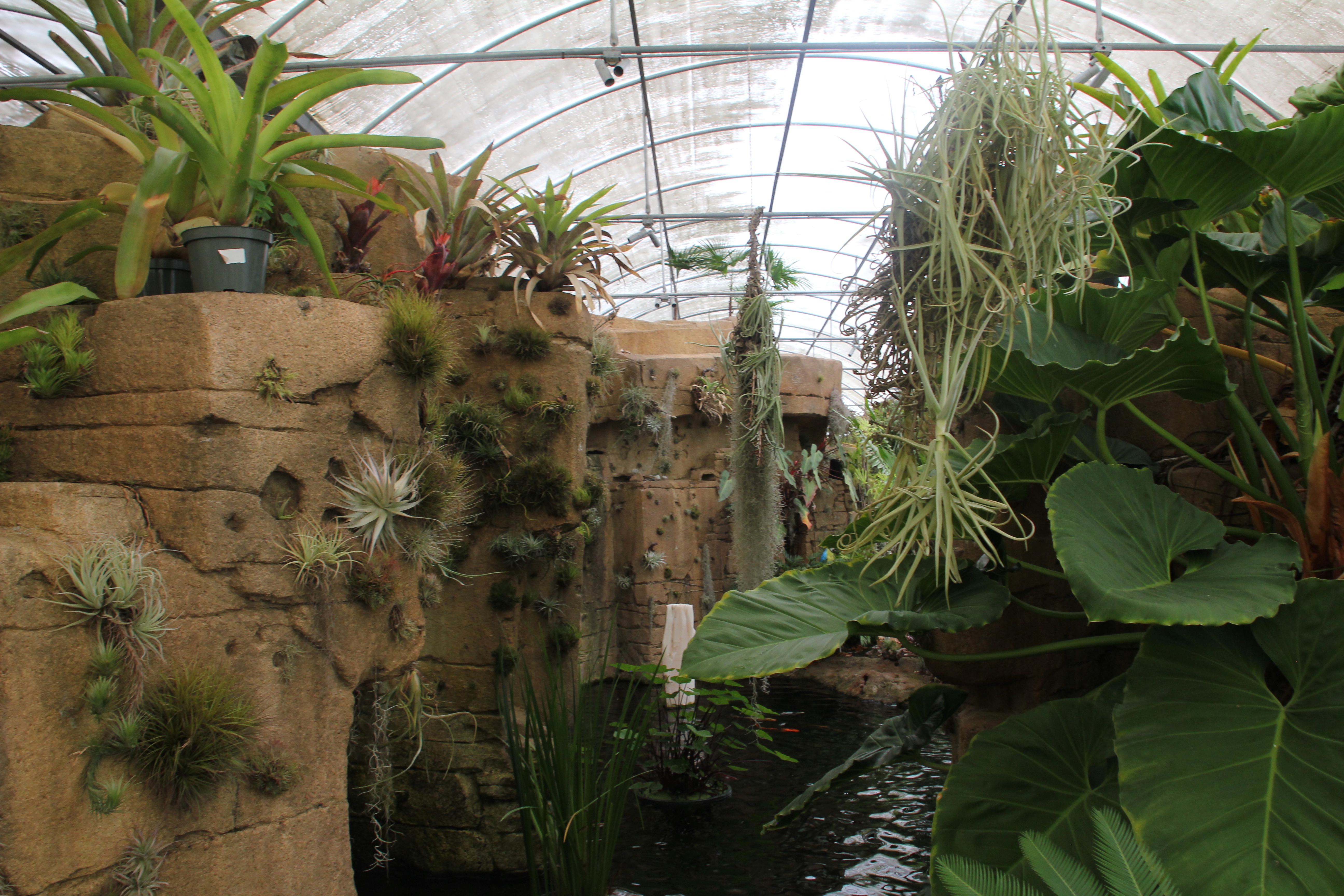 Go inside SoCal's Rainforest Flora: One of the world's largest