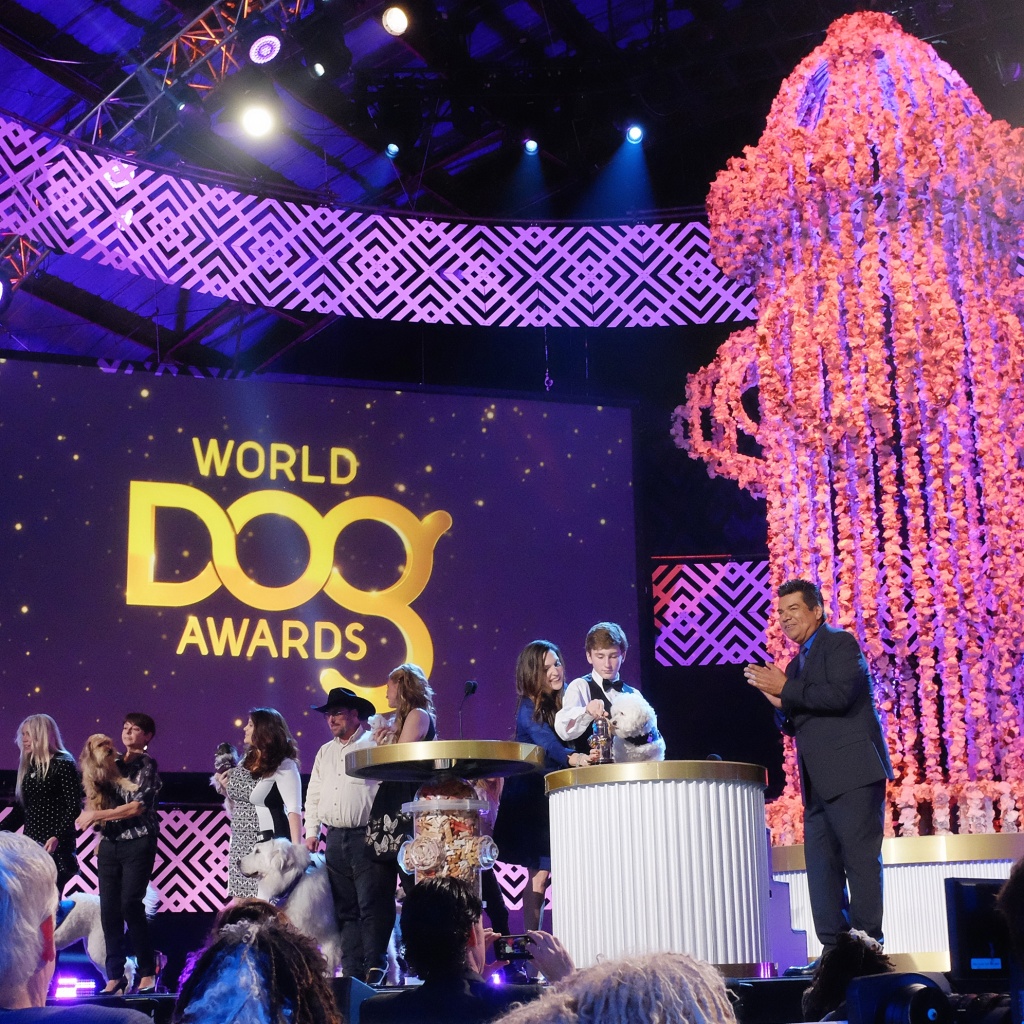 Pets-World Dog Awards This Saturday, Jan. 10, 2015 photo George Lopez, right, takes to the stage with nominees for the 2015 World Dog Awards after the taping of the show at the Barker Hanger in Santa Monica, Calif. (AP Photo/Richard Vogel)