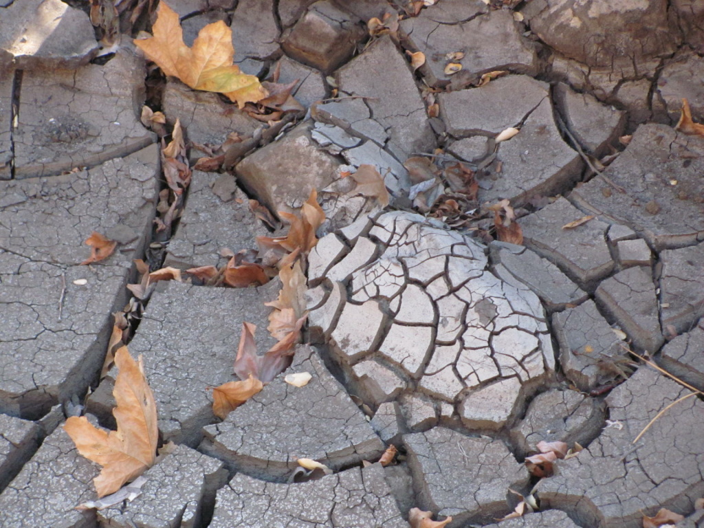 california drought mud