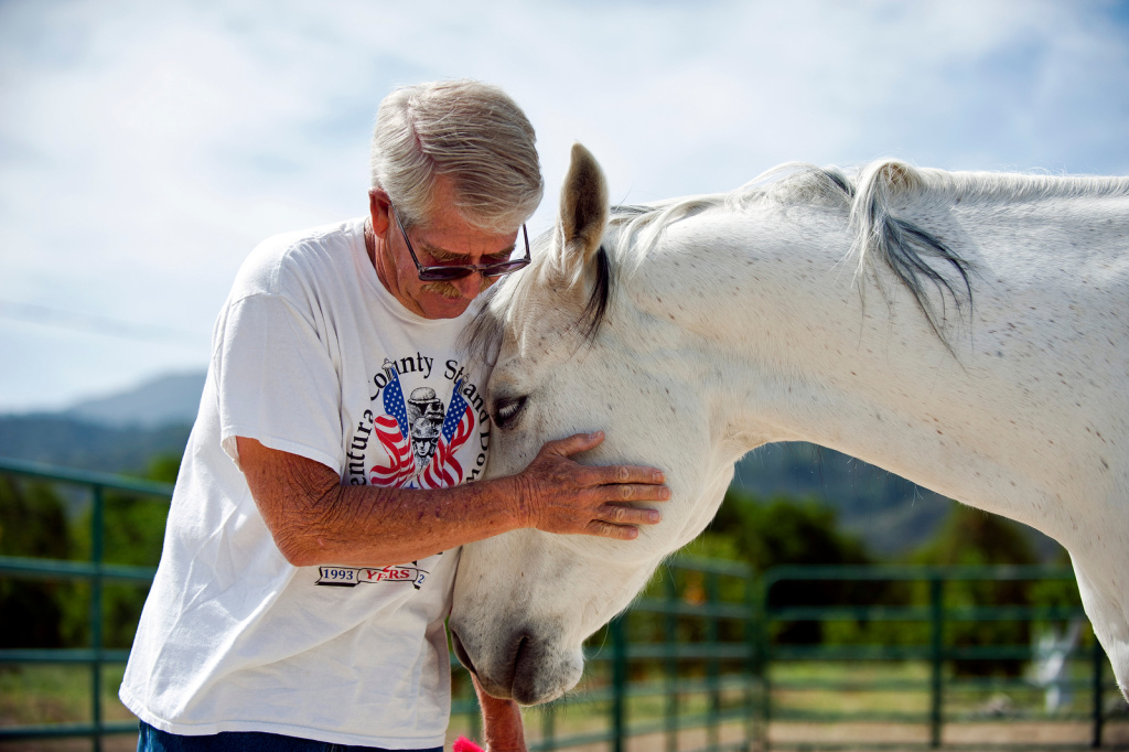 Horses help veterans heal the invisible wounds of PTSD 89.3 KPCC