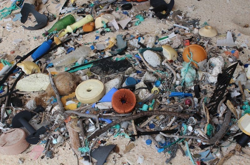 Researchers say Henderson Island is polluted with the highest density of plastic trash ever recorded in the field. Researchers say Henderson Island is polluted with the highest density of plastic trash ever recorded in the field.