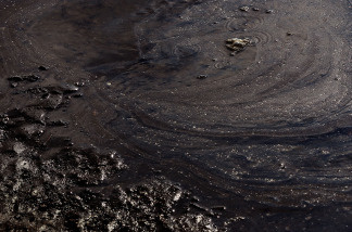 Oil floats ashore at the Grand Isle East State Park May 27, 2010 on Grand Isle, Louisiana.