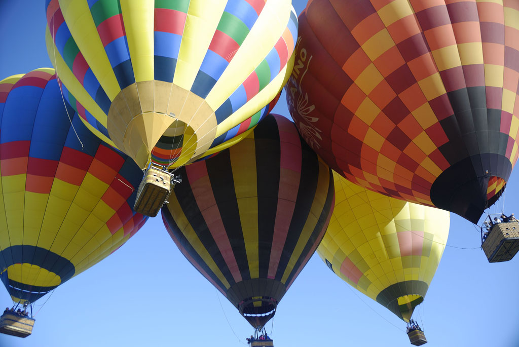 The Temecula Valley Balloon and Wine Festival in 2008. The Temecula Valley Balloon and Wine Festival in 2008.