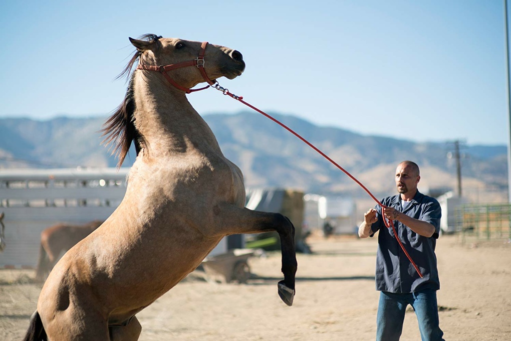 Matthias Schoenaerts stars as Roman Coleman in Focus Features' 'The Mustang' Matthias Schoenaerts stars as Roman Coleman in Focus Features' 'The Mustang'