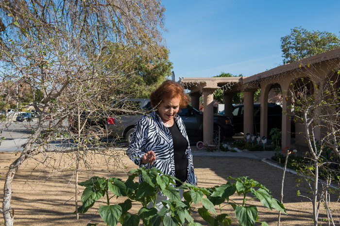 Some California Cities Criminalize Nuisance Code Violations Ramona Morales' renters kept chickens, which annoyed some neighbors and was against Indio's municipal code on keeping farm animals in a residential area.