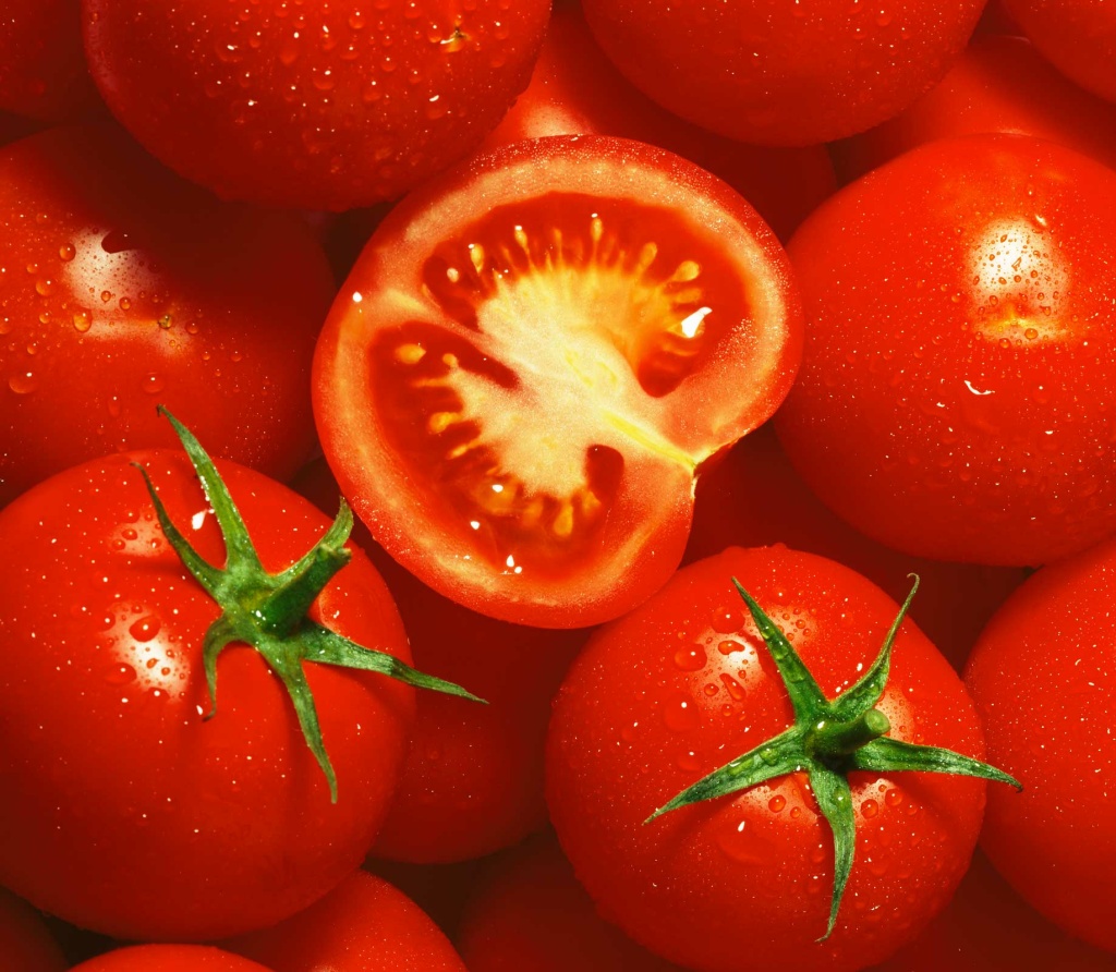 Chapman University- Tomato