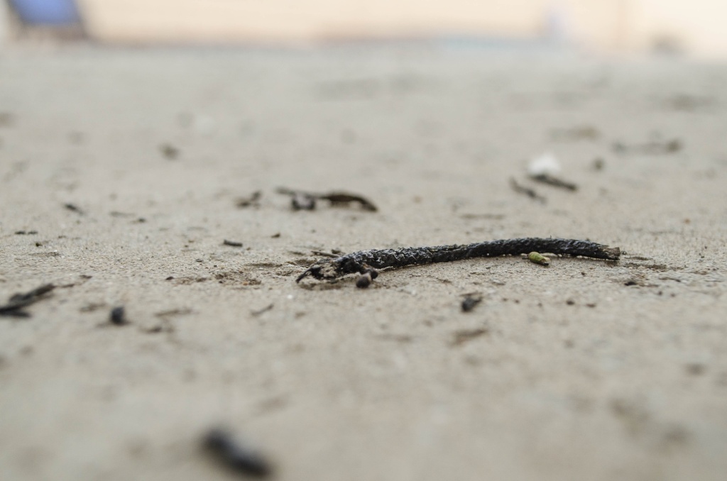 Slideshow Highway Fire Unattended cooking fire identified as cause