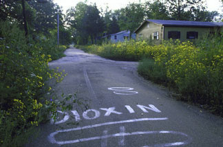 Residents of Times Beach, Mo., were forced to leave their town in December 1982 because the chemical dioxin was found in the soil. Thirty years later, the Environmental Protection Agency can't decide how dangerous the chemical is.