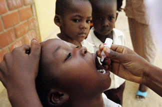 A Nigerian schoolboy is vaccinated against polio during a mass nationwide polio inoculation April 12, 2005, in Kano, Nigeria.