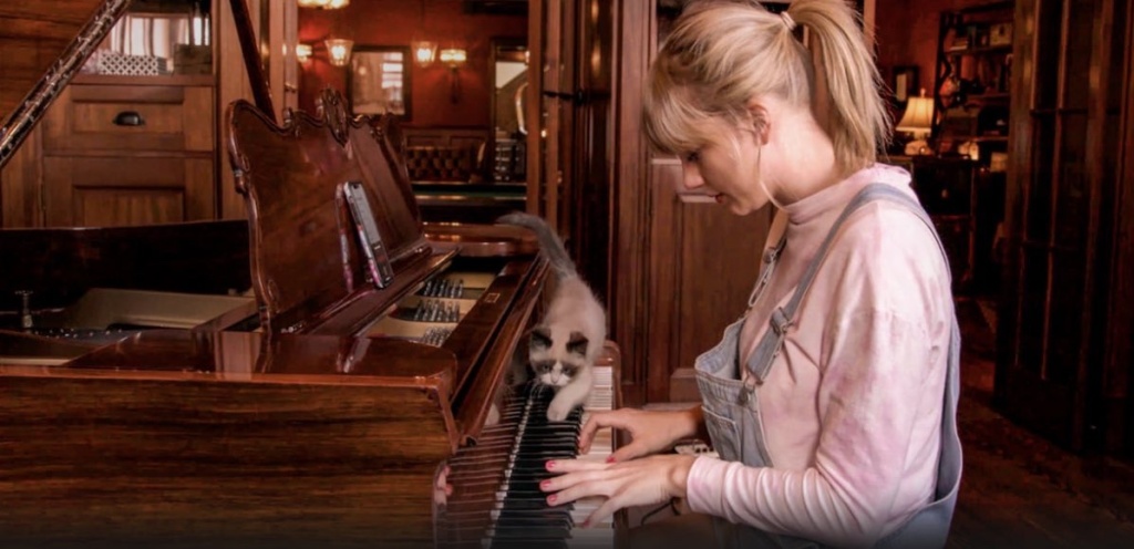 Taylor Swift in Taylor Swift in