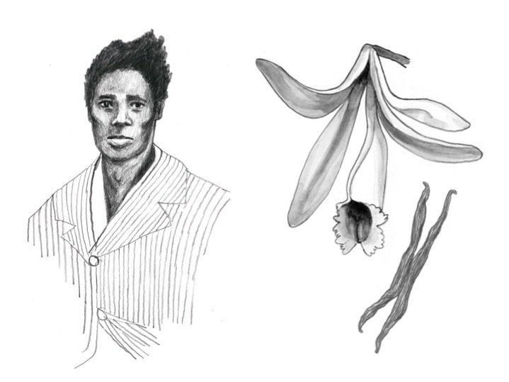 3-dd9605f23c9f10ead5cb8344f7209914227c00fc-s800-c85.jpg Slave Edmond Albius and a vanilla plant: