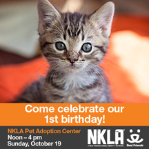 NKLA Pet Adoption Center’s First Birthday Celebration