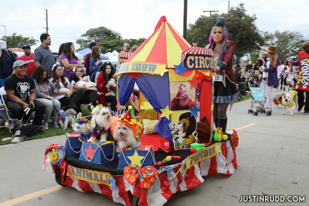 Audio: Your guide to pumpkin patches and Halloween haunts in SoCal | 89.3 KPCC