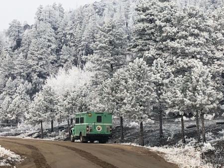 Light snow dusts the trees near the Cameron Peak Fire in Rocky Mountain National Park in Colorado on Friday.