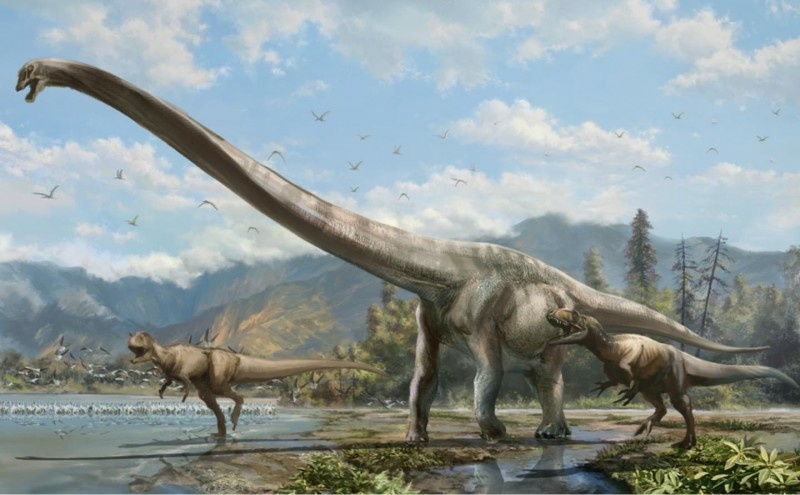This illustration shows what the newly discovered long-necked dinosaur may have looked like. This illustration shows what the newly discovered long-necked dinosaur may have looked like.