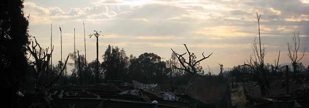 Mercer 5176 The Ashes of Oakridge.