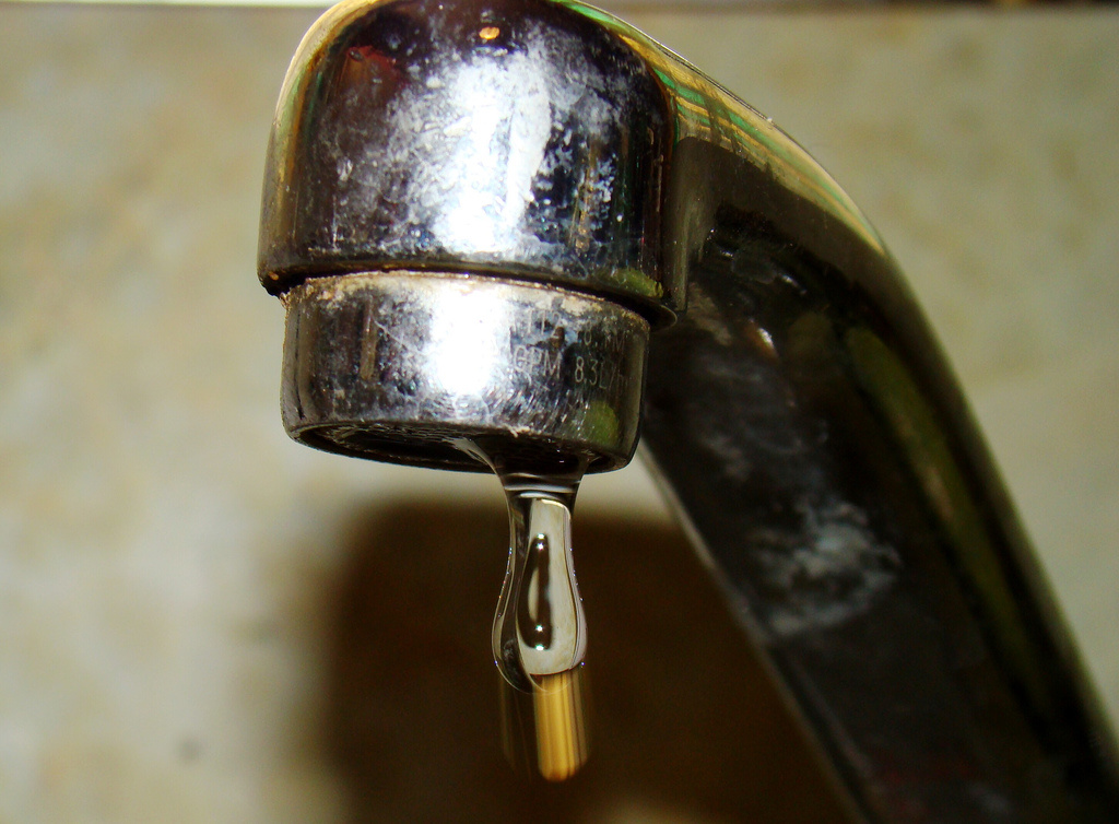 Take Two How tenants can tackle mold, mice, other living