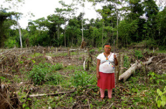 Ana Hualinga, a local leader of the indigenous Achuar people in San Cristobal, Peru, stands in a former community garden and tree nursery. She says the land was recently cleared by the oil company Pluspetrol, without consulting the community.