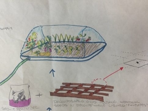 When MacKugler first came up with the concept of Seedsheet, he sketched out the concept with crayons that were handy in the farmhouse where he was inspired by the garden.
When MacKugler first came up with the concept of Seedsheet, he sketched out the concept with crayons that were handy in the farmhouse where he was inspired by the garden.