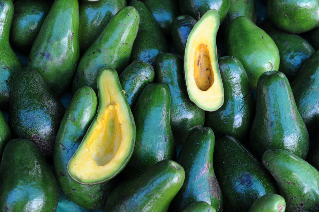 HONDURAS-AGRICULTURE-MARKET-FEATURE Avocados are sold at Tegucigalpa's main fruit and vegetable market El Mayoreo, on June 18, 2011.