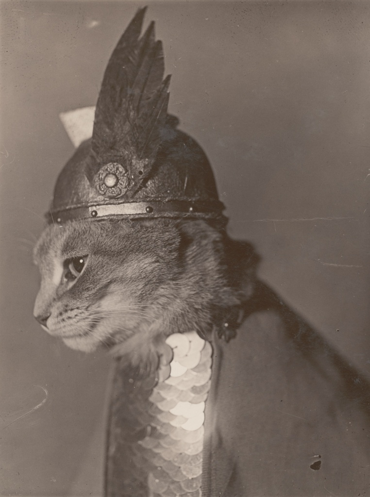 not an ostrich Brünnhilde, 1936.