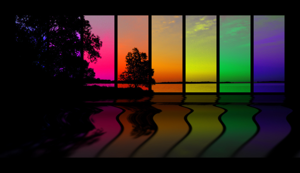 rainbow gay window tree building office LGBT