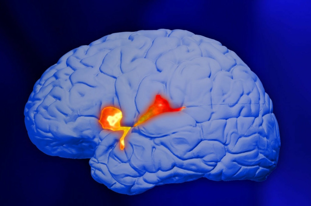 This region of the brain gets triggered when expressing empathy, September 14, 2018. This region of the brain gets triggered when expressing empathy, September 14, 2018.