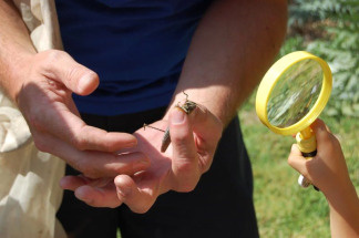 Mercer 8376 Brent Karner shows off a grasshopper