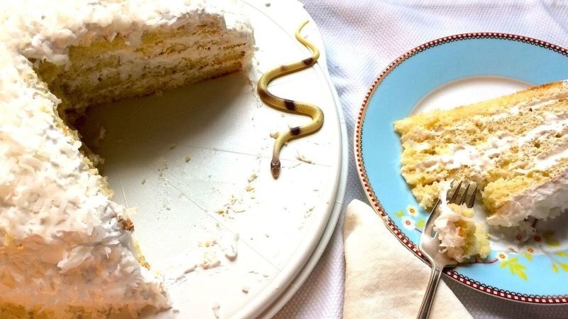 lemony3_wide-3f8f06d6ae164422a573b817280d6f2de16c20df-s800-c85.jpg Unfortunately, the creamy goodness of Uncle Monty's coconut cake doesn't last long for the Beaudelaire children.