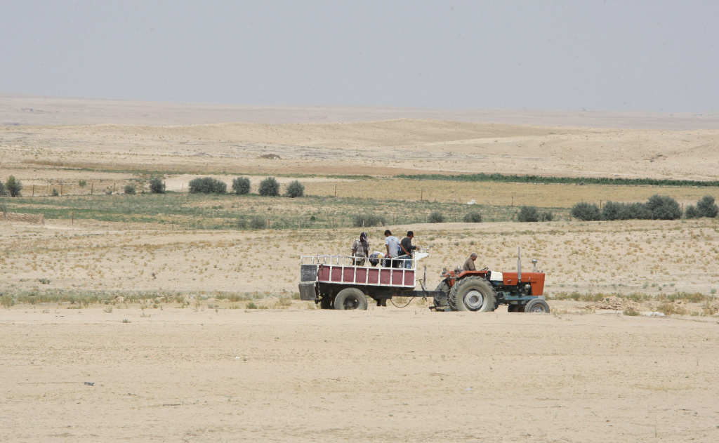 TO GO WITH AFP STORY BY ROUEIDA MABARDI Farmers ride in their tractor in the drought-hit region of Hasaka in northeastern Syria on June 17, 2010. The United Nations World Food Programme (WFP) has started distributions of emergency food assistance to almost 200,000 drought-affected people in Syria.