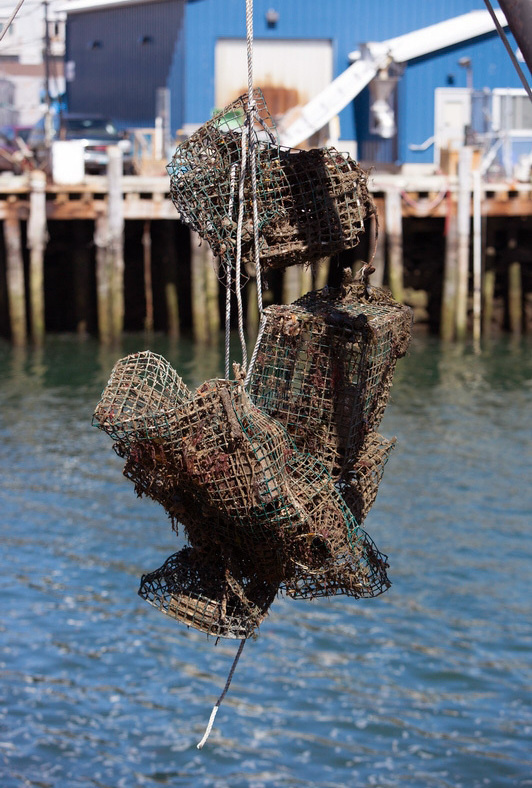 ghost-fishing-gear-3_enl-03fe162e6637b04ebdcf5cf1768c546d320fa3e4-s1400.jpg World Animal Protection and the Gulf of Maine Lobster Foundation, in partnership with local fishermen, removed ghost fishing gear off the coast of Portland, Maine.