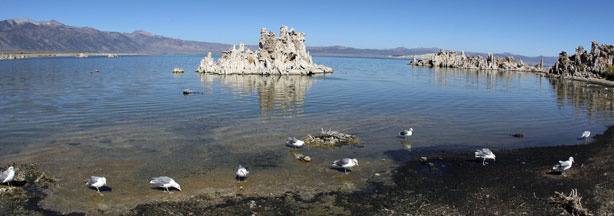 The Mono Lake is pictured September 12, 2007 in Lee Vining, California.