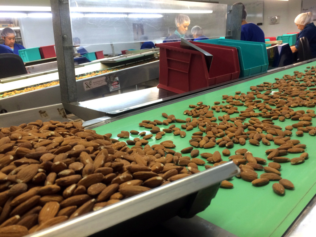 In 2015 more than 1.8 billion pounds of almonds were processed in California.
