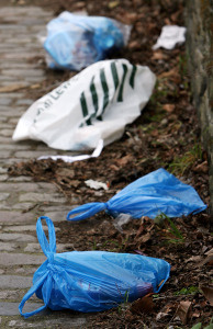 Plastic bags have become a major pollutant around the world.